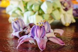 鳳岡縣茶葉出口達(dá)萬(wàn)元