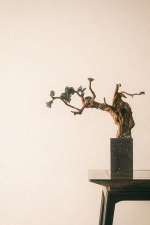 鳳岡縣茶葉出口達萬元