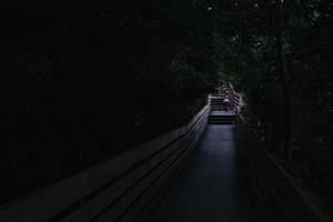 第377章告狀