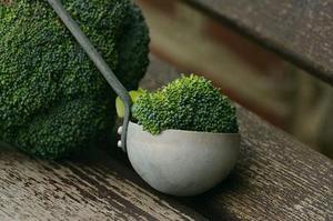 第二十二章教訓(xùn)白子茹