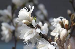突然想輸出點(diǎn)點(diǎn)學(xué)習(xí)專欄的心得。關(guān)于最寶貴的財富