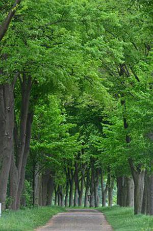 給網(wǎng)站添加天氣小功能