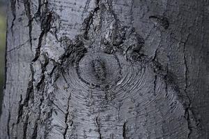 甘肅省委、省政府以及包括名省部級領(lǐng)導(dǎo)在內(nèi)的多名黨員領(lǐng)導(dǎo)干部被問責(zé)