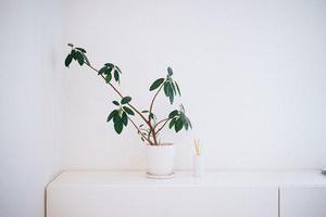 將于年春節(jié)前分批次遷入兩處安置區(qū)