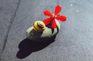 各種手機(jī)應(yīng)用也漸漸成了我們關(guān)心的話題之一