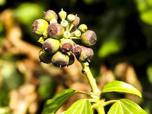 鐵路首改分配機制10月貨運增幅驚人