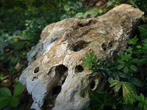 上班前一天