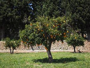都說靜安寺是風(fēng)水寶地，從Workingdom爆紅的聯(lián)合辦公空間探