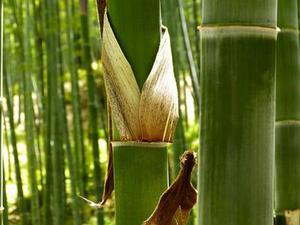 把肖戰(zhàn)放在首位，不跟風意見領袖，尊重原創(chuàng)，肖戰(zhàn)粉絲這次能做到