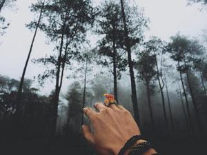 關(guān)于撩妹的那些事