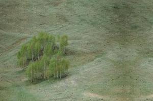 當我們在說認知升級時，我們在說什么？