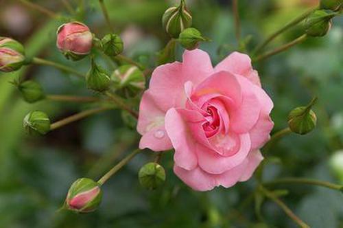 好彩網(wǎng)8點(diǎn)評(píng)推薦
