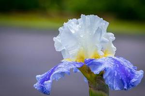 高壓斷路器輔助開(kāi)關(guān)分?jǐn)嗄芰ρ芯考敖Y(jié)構(gòu)優(yōu)化設(shè)計(jì)