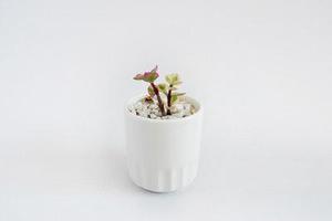 寧夏加大對(duì)鎂，硅的開(kāi)發(fā)利用研究