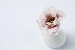 YYModel源碼解析（二）YYClassInfo類