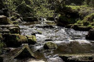 鳳岡縣茶葉出口達(dá)萬(wàn)元