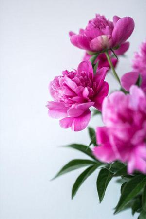 本刊對(duì)名詞術(shù)語(yǔ)的基本要求
