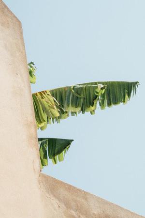 把肖戰(zhàn)放在首位，不跟風(fēng)意見領(lǐng)袖，尊重原創(chuàng)，肖戰(zhàn)粉絲這次能做到