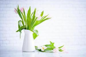 鳳岡縣茶葉出口達(dá)萬(wàn)元