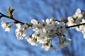 如何利用從眾效應(yīng)制造歸屬感，不知不覺(jué)說(shuō)服你的顧客？