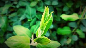 基于速度閉環(huán)的自適應(yīng)力位控制算法