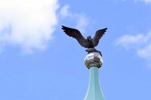 省供銷社進一步鞏固深化拓展百日攻堅行動成果