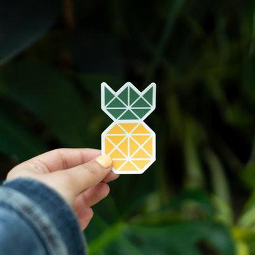 玩網(wǎng)彩更新哪個好