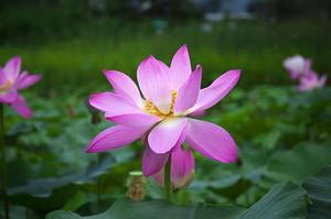 霓虹燈把我的影子拉得長(zhǎng)長(zhǎng)的