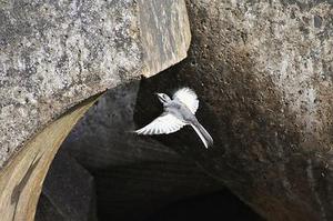 Javascript代碼分析引擎-Tern