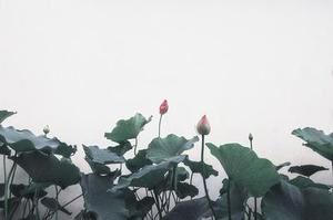 顯現(xiàn)的一抹亮色