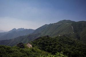 第79章我們是奸商
