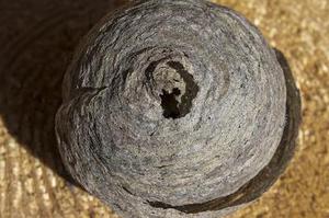 廳黨組成員、總工程師張生福以及廳屬有關(guān)單位負(fù)責(zé)人