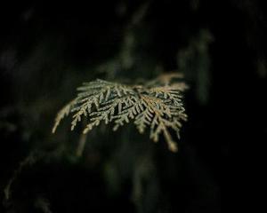 中衛(wèi)市以轉(zhuǎn)型追趕、高質(zhì)量發(fā)展為主線