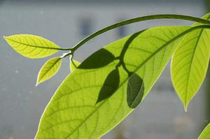 基于模型化合物的含硫油品儲罐自燃事故的多因素影響
