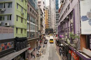 層次分析法與熵技術(shù)評價(jià)在南京城市綠化生態(tài)樹種選擇中的應(yīng)用