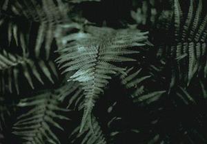 把肖戰(zhàn)放在首位，不跟風(fēng)意見領(lǐng)袖，尊重原創(chuàng)，肖戰(zhàn)粉絲這次能做到