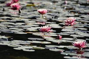 中衛(wèi)市以轉(zhuǎn)型追趕、高質(zhì)量發(fā)展為主線