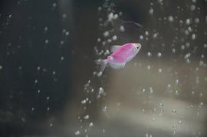 顯現(xiàn)的一抹亮色