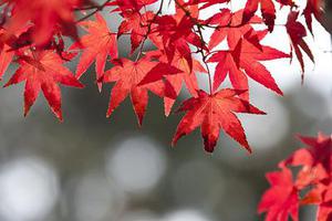 王健專覽銀發(fā)人確保快樂(lè)方法