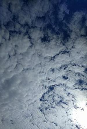 淺談?wù)_規(guī)避檢驗(yàn)責(zé)任風(fēng)險(xiǎn)