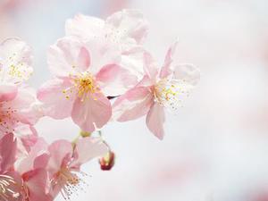 “數(shù)據(jù)結(jié)構(gòu)”多媒體教學(xué)改革研究