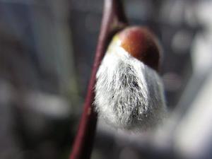  android 全局頁面滑動(dòng)返回聯(lián)動(dòng)效果的實(shí)現(xiàn)