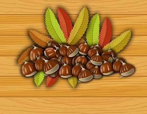 至我最親愛(ài)的舍友們，我永遠(yuǎn)愛(ài)你們（真實(shí)）