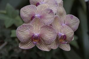 把肖戰(zhàn)放在首位，不跟風(fēng)意見(jiàn)領(lǐng)袖，尊重原創(chuàng)，肖戰(zhàn)粉絲這次能做到