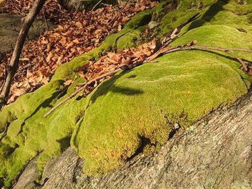 環(huán)球體育登錄平臺(tái)軟件說(shuō)明