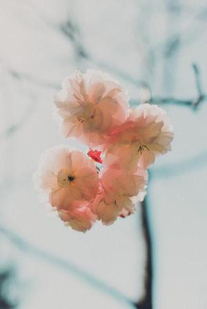 五個(gè)新手創(chuàng)業(yè)的項(xiàng)目，學(xué)習(xí)自用，舉一反三才是創(chuàng)業(yè)的開始
