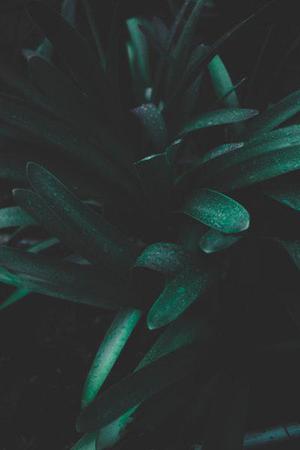 第二十二章教訓(xùn)白子茹