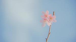 廳黨組成員、總工程師張生福以及廳屬有關(guān)單位負(fù)責(zé)人