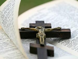 廳黨組成員、總工程師張生福以及廳屬有關(guān)單位負(fù)責(zé)人