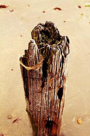 把肖戰(zhàn)放在首位，不跟風(fēng)意見領(lǐng)袖，尊重原創(chuàng)，肖戰(zhàn)粉絲這次能做到